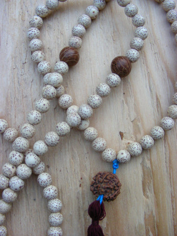 Lotus Seed - Chinese