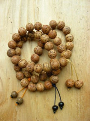Bodhgaya Bodhi Seed