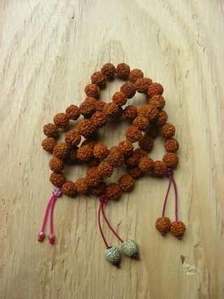Rudraksha
