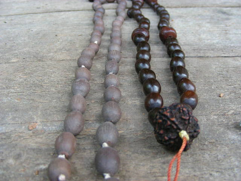 Lotus Seed - Indian