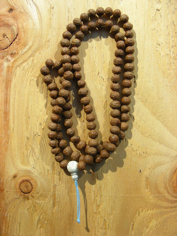 Plum Seed